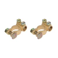 ACCUPOOLKLEMMEN SET (+) EN (-) 35-50MM (1ST)