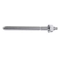 ANKERSTANG RVS A4 M10X130 (10)