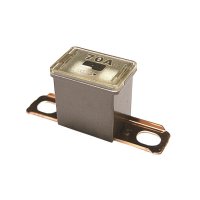 CS-CASE AUTO FUSE 70AMP (1PC)