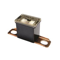 CS-CASE AUTO FUSE 80AMP (5PCS)