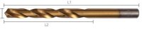 DIN 388T SPIRAALBOOR TITANIUM-NITRIDE COATING 4,8MM (10)