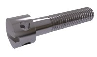 DIN 404 ST CAPSTAN SCREW SLOTTED M3X10 (100)
