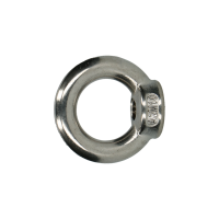 DIN 582 RVS A2 OOGMOER M20 (1)