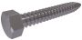 DIN 7976C 6K-PLAATBOUT VERZINKT 3,9X9,5 (1000)