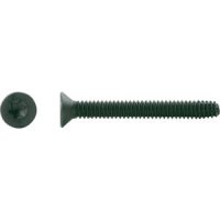 FLOORING SCREWS BLACK PHOSPHATED TYPE F TX30 1/4-20X2.1/4 (1000)