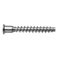 HOEKVERBINDINGSSCHROEF MET BINNENZESKANT 4.8 TYPE KOX VERZINKT 7X40 (250)