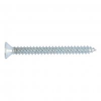 ISO 14586C VK-PLAATSCHROEF TX25 VERZINKT 5,5X50 (100)