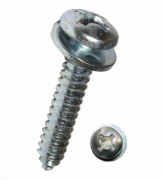 LICENSE PLATE CAP SCREW WITH WASHER ZINC PLATED PH 5,5X16MM (1000)