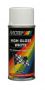 MOTIP RALLYE WHITE 150ML (1PC)