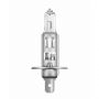 NEOLUX 12V H1 55W P14.5S (1PC)