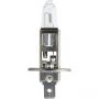PHILIPS 24V H1 MASTERDUTY P14,5S (1ST)