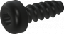 PLASTITE 30° ZWART GEPASSIVEERD BCK-PLS TORX 4.0X30