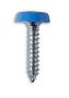POLYTOPS NUMBER PLATE SCREWS BLUE (4,8X25) NO10X3/4 (100PCS) POLYTOPS NUMBER PLATE SCREWS BLUE (4,8X25) NO10X3/4 (100PCS)