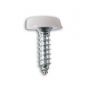 POLYTOPS NUMBER PLATE SCREWS WHITE (4,8X19 NO.10X3/4 (100PCS) POLYTOPS NUMBER PLATE SCREWS WHITE (4,8X19 NO.10X3/4 (100PCS)