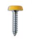 POLYTOPS NUMBER PLATE SCREWS YELLOW (4,8X25) NO.10X3/4 (100PCS) POLYTOPS NUMBER PLATE SCREWS YELLOW (4,8X25) NO.10X3/4 (100PCS)