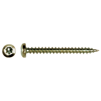 SPAANPLAATSCHROEF BOLKOP RVS A2 TX25 6X110/70 (100)