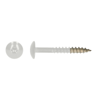 SS304 TRESPO TRUSS HEAD WOOD SCREWS WITH SIX LOBE DRIVE 4,8X25 R9003 A2 (100)