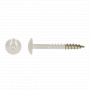 SS304 TRESPO TRUSS HEAD WOOD SCREWS WITH SIX LOBE DRIVE 4,8X25 R9010 A2 (100) SS304 TRESPO TRUSS HEAD WOOD SCREWS WITH SIX LOBE DRIVE 4,8X25 R9010 A2 (100)