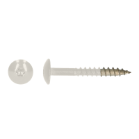 SS304 TRESPO TRUSS HEAD WOOD SCREWS WITH SIX LOBE DRIVE 4,8X32 R9010 A2 (100)