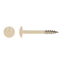 SS304 TRESPO TRUSS HEAD WOOD SCREWS WITH SIX LOBE DRIVE 4,8X38 R1015 A2 (100)