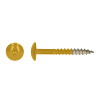 SS304 TRESPO TRUSS HEAD WOOD SCREWS WITH SIX LOBE DRIVE 4,8X38 R1032 A2 (100)